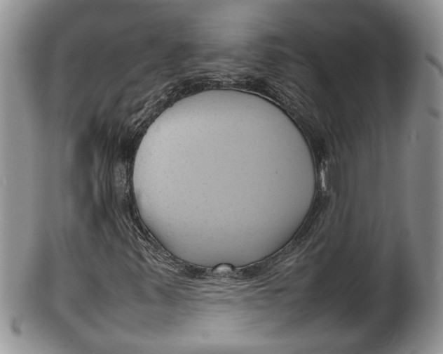 X0000100191347200806201348