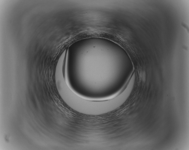 X0000100191348200806201348