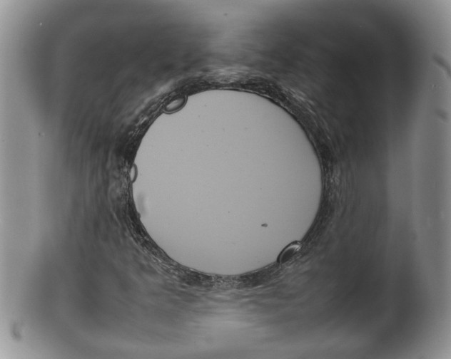 X0000100191349200806201348