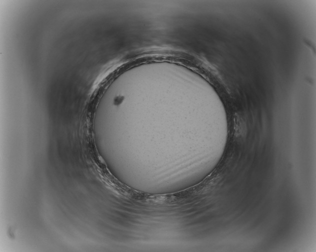 X0000100191352200806201348