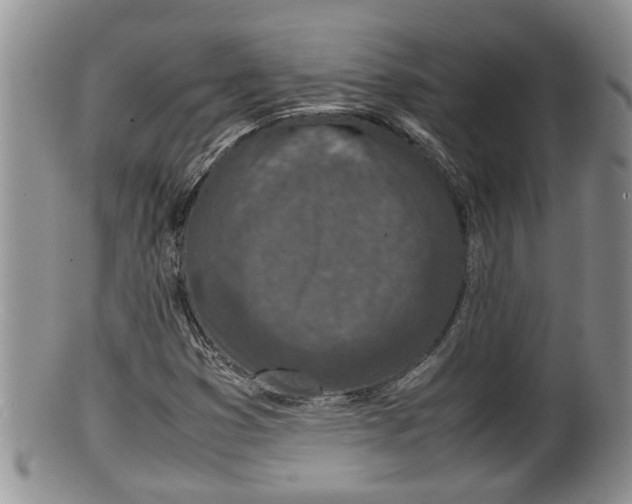 X0000100191353200806201348