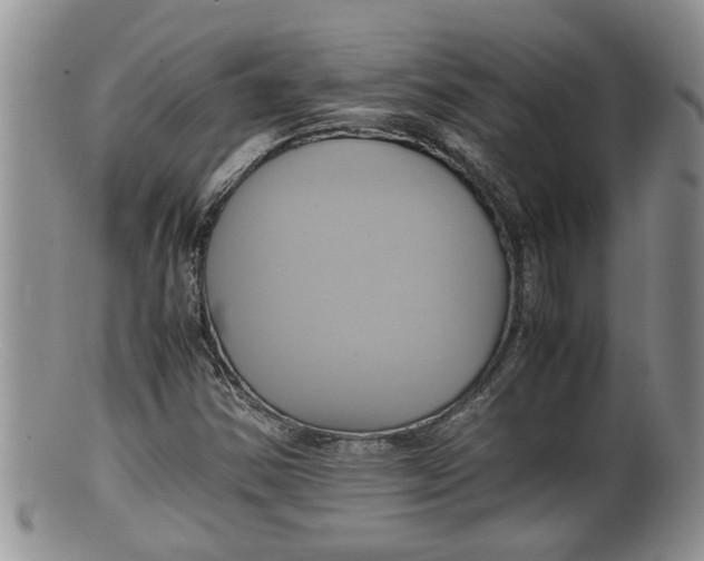 X0000100191354200806201348