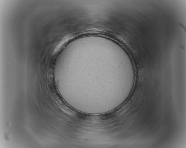 X0000100191355200806201348