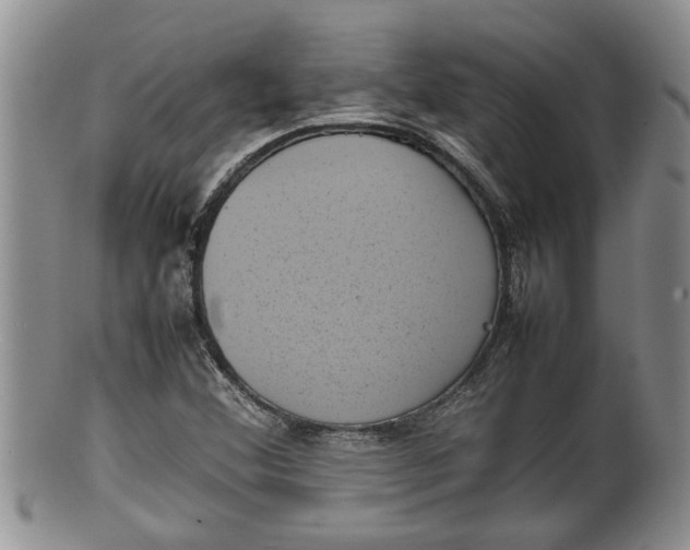 X0000100191356200806201348