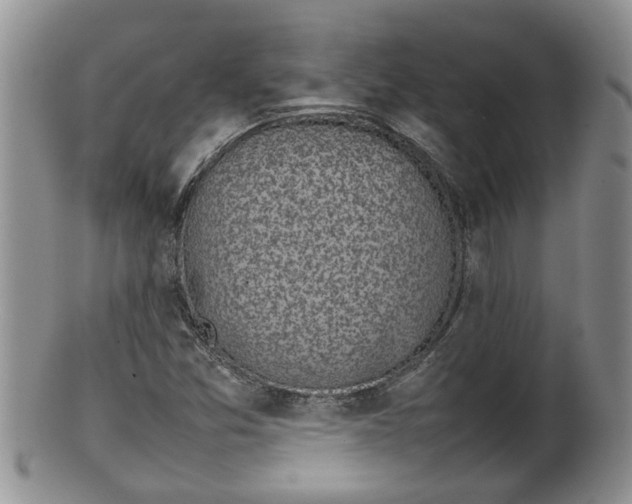 X0000100191357200806201348