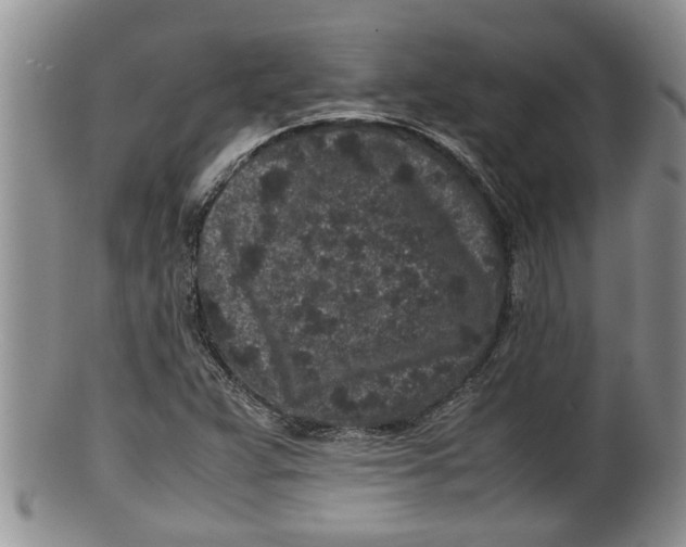 X0000100191359200806201348