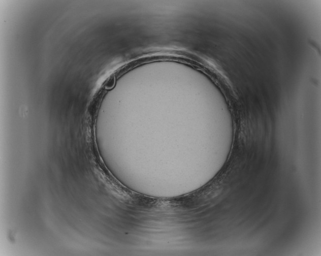 X0000100191360200806201348