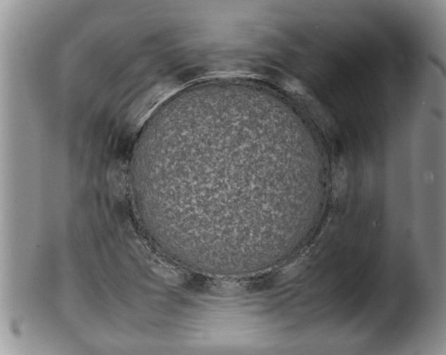 X0000100191361200806201348