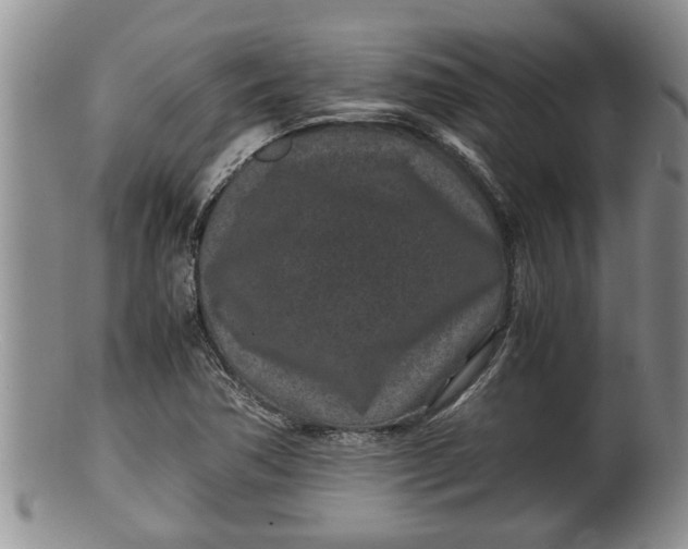 X0000100191362200806201348
