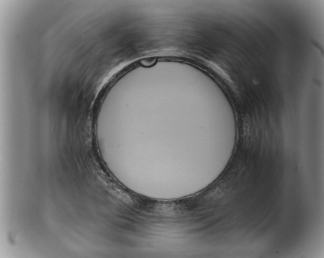 X0000100191364200806201348