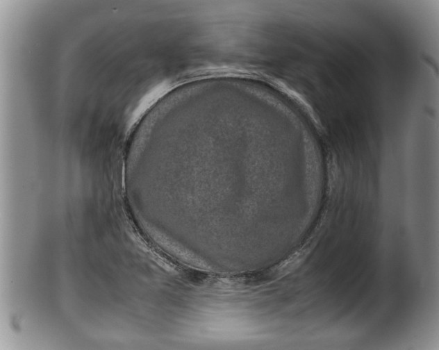 X0000100191365200806201348