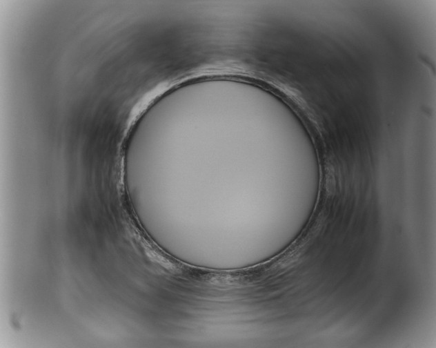 X0000100191366200806201348