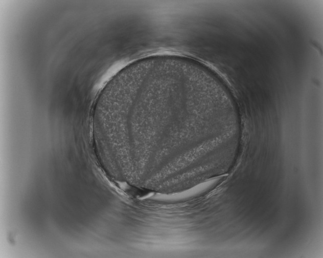 X0000100191367200806201348