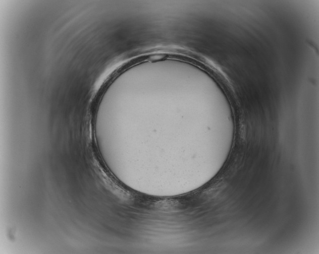X0000100191368200806201348
