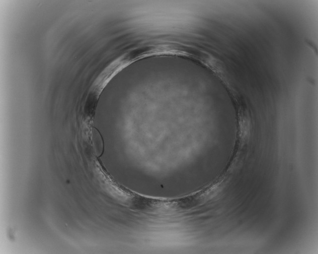 X0000100191369200806201348