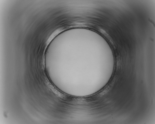 X0000100191370200806201348