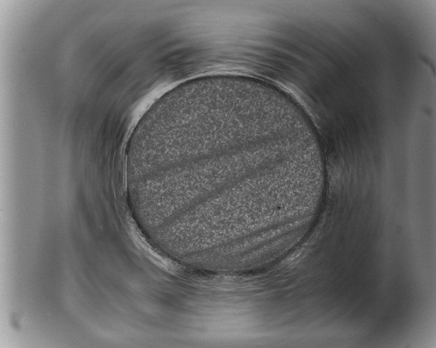 X0000100191371200806201348