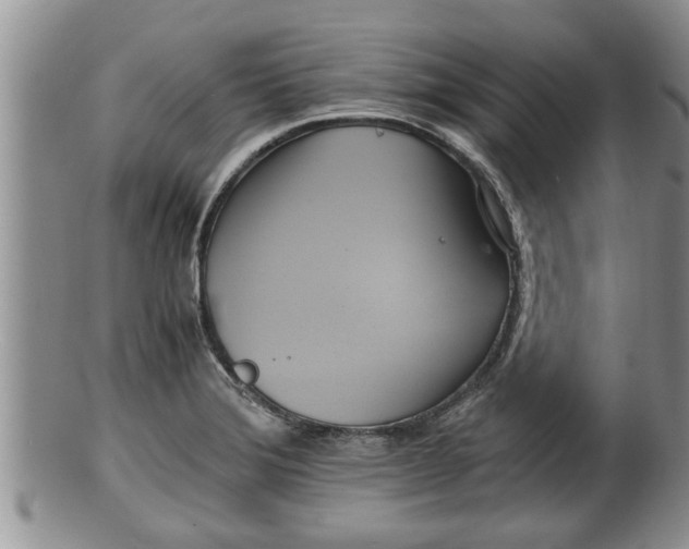 X0000100191372200806201348