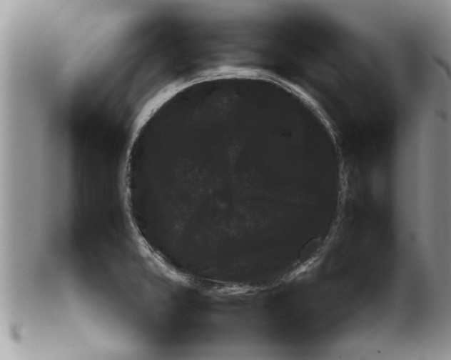 X0000100191373200806201348