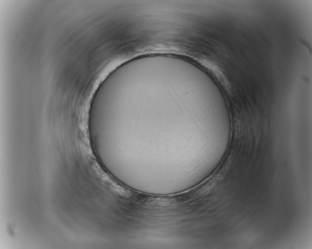 X0000100191374200806201348