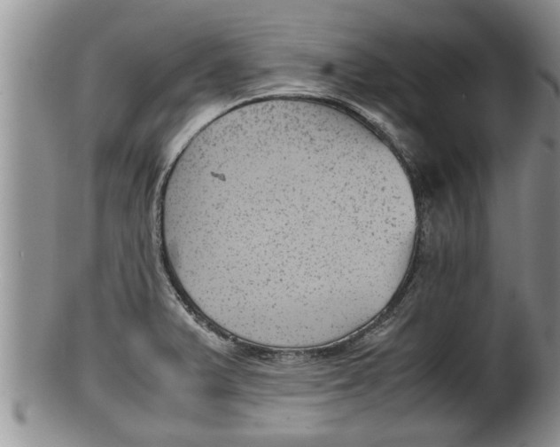 X0000100191375200806201348
