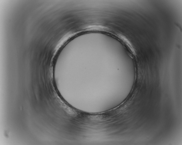 X0000100191376200806201348