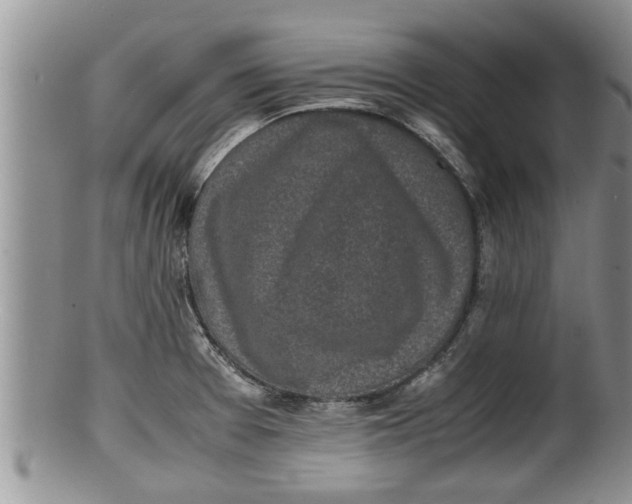 X0000100191377200806201348