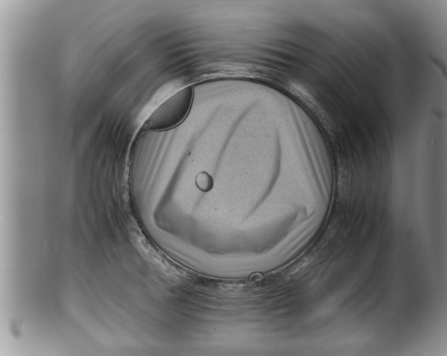 X0000100191378200806201348
