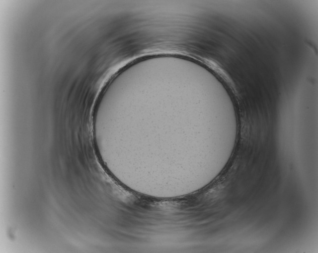 X0000100191380200806201348