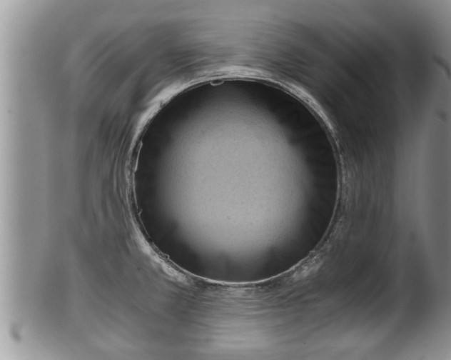 X0000100191381200806201348
