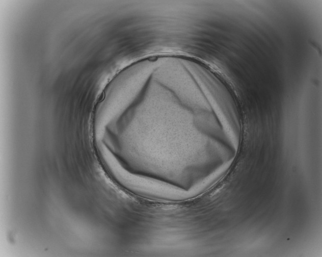 X0000100191382200806201348