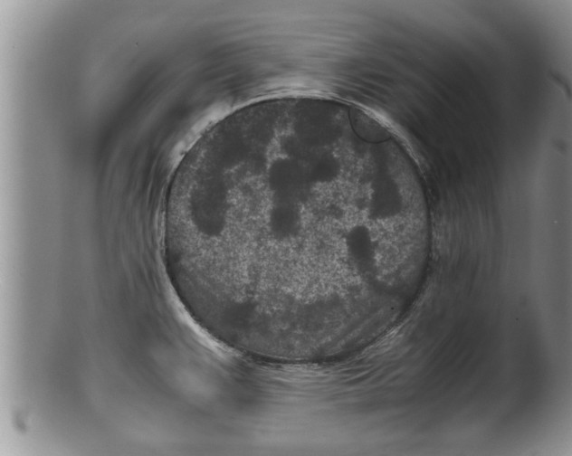 X0000100191383200806201347