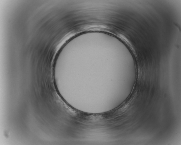 X0000100191384200806201347