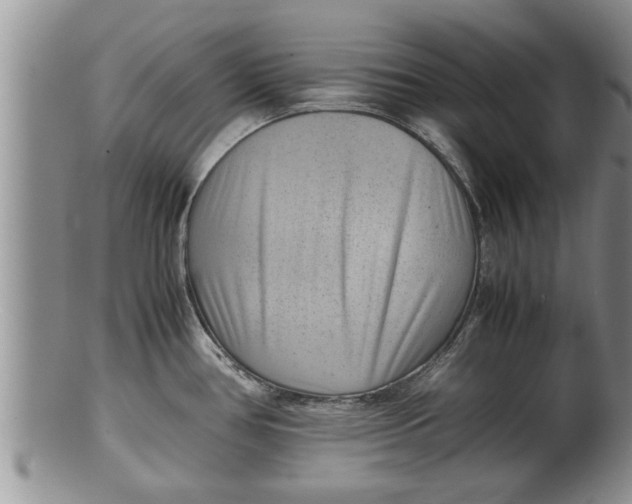 X0000100191386200806201347