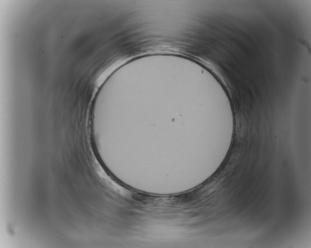 X0000100191387200806201347