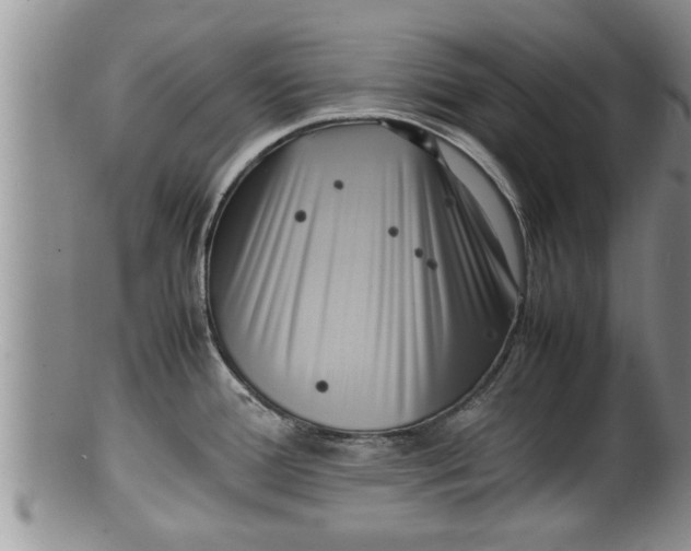 X0000100191388200806201347