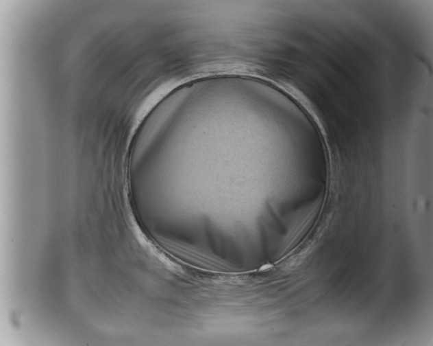 X0000100191389200806201347