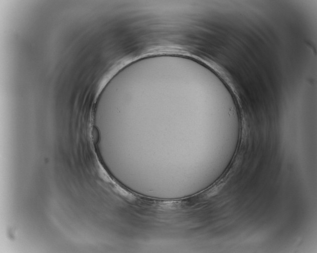 X0000100191390200806201347
