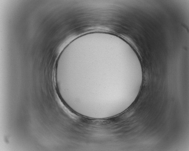 X0000100191391200806201347
