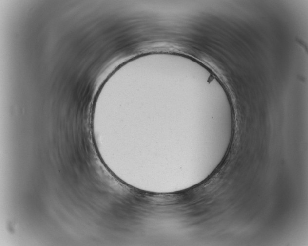 X0000100191392200806201347