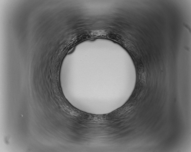 X0000100191393200806201347