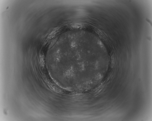 X0000100191394200806201347