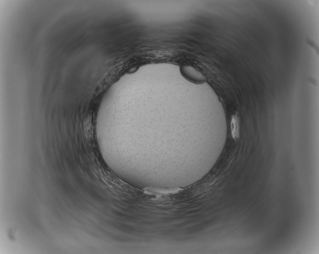 X0000100191395200806201347
