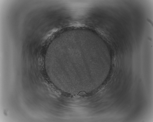 X0000100191398200806201347