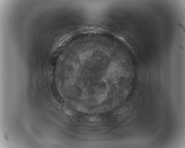 X0000100191399200806201347