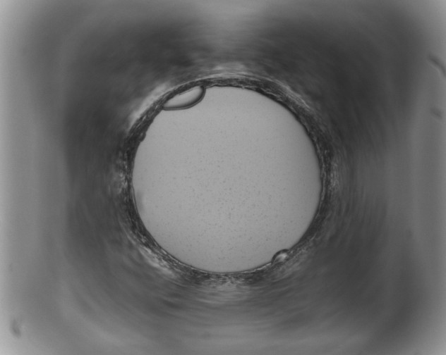 X0000100191400200806201347