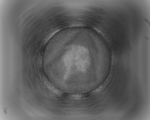 X0000100191401200806201347