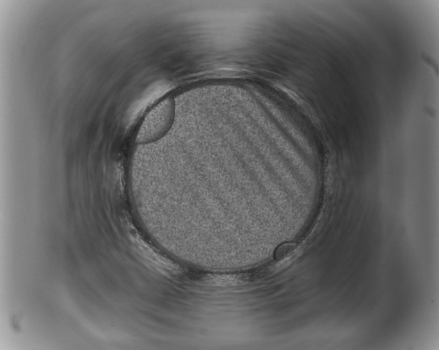 X0000100191402200806201347