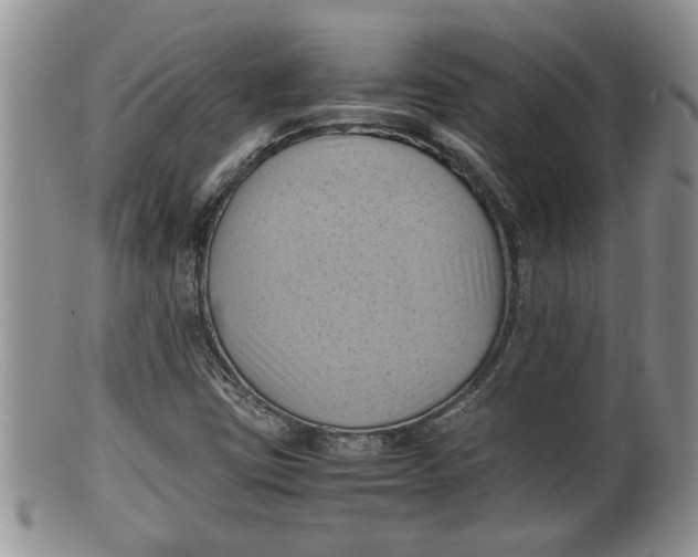X0000100191403200806201347