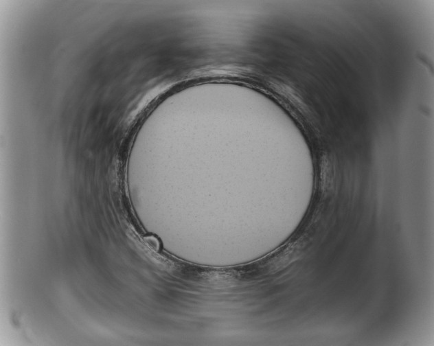 X0000100191404200806201347